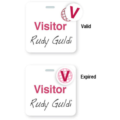 Brady Visitor Badges LITE Access Control Cards