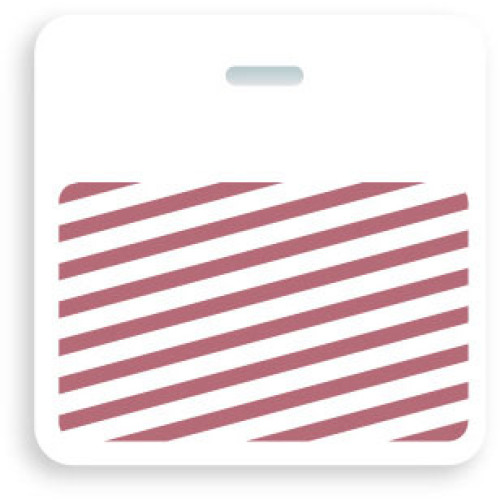 Brady Visitor Badges Access Control Cards