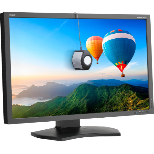 NEC PA302W-BK-SV Monitor
