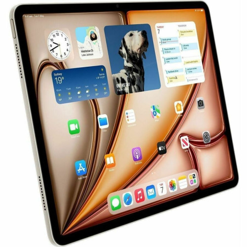 Apple iPad Air Tablet