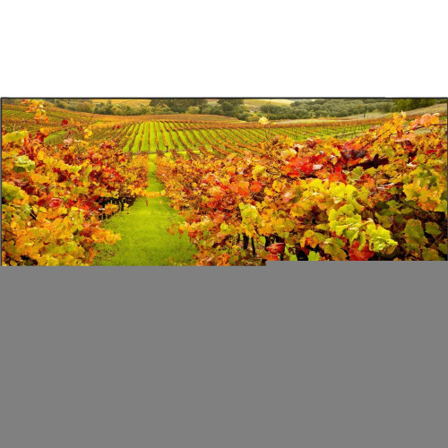 NEC X-Series Digital Signage Display